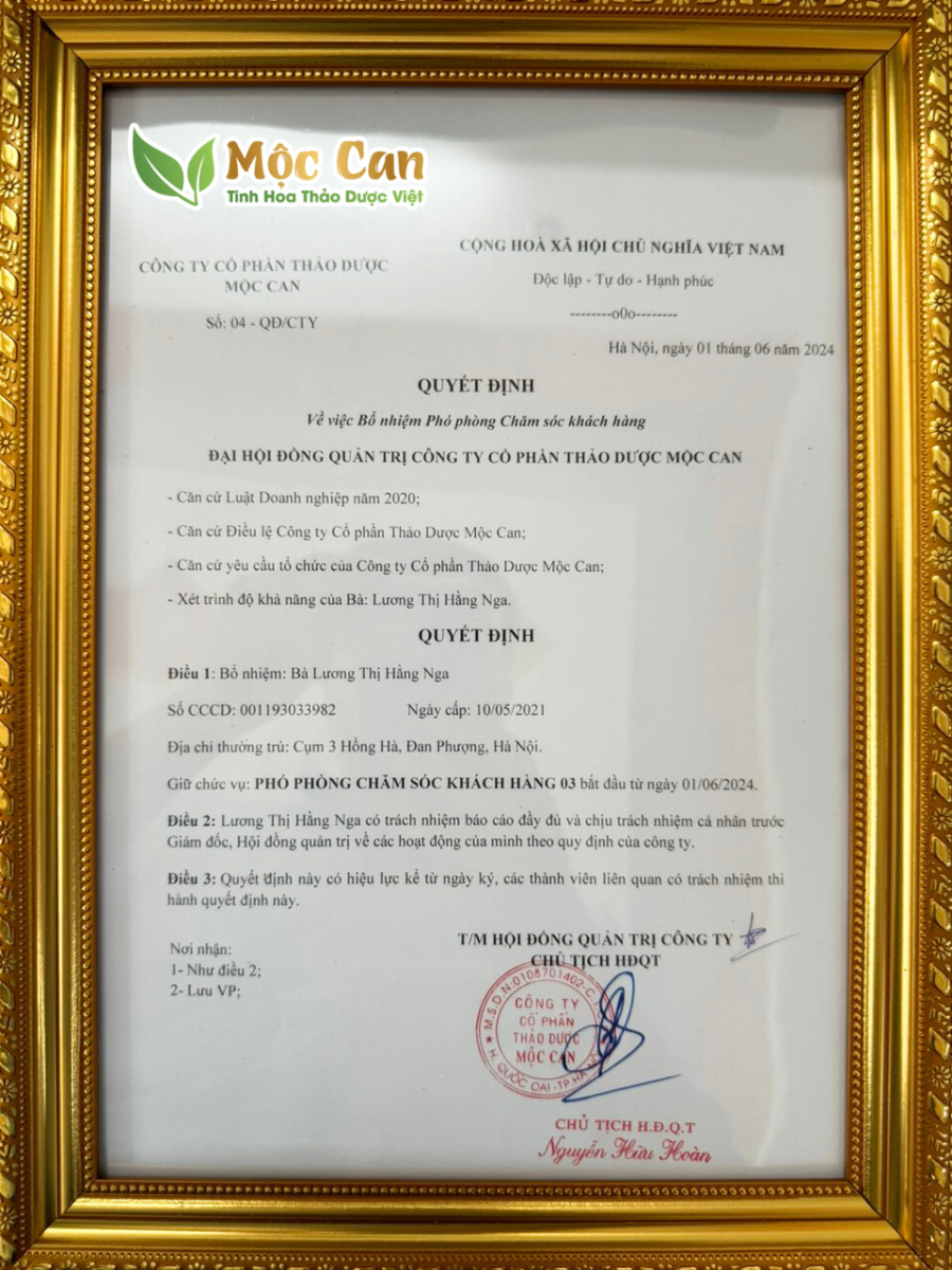 MỘC CAN CHÚC MỪNG BỔ NHIỆM NHÂN SỰ MỚI 2