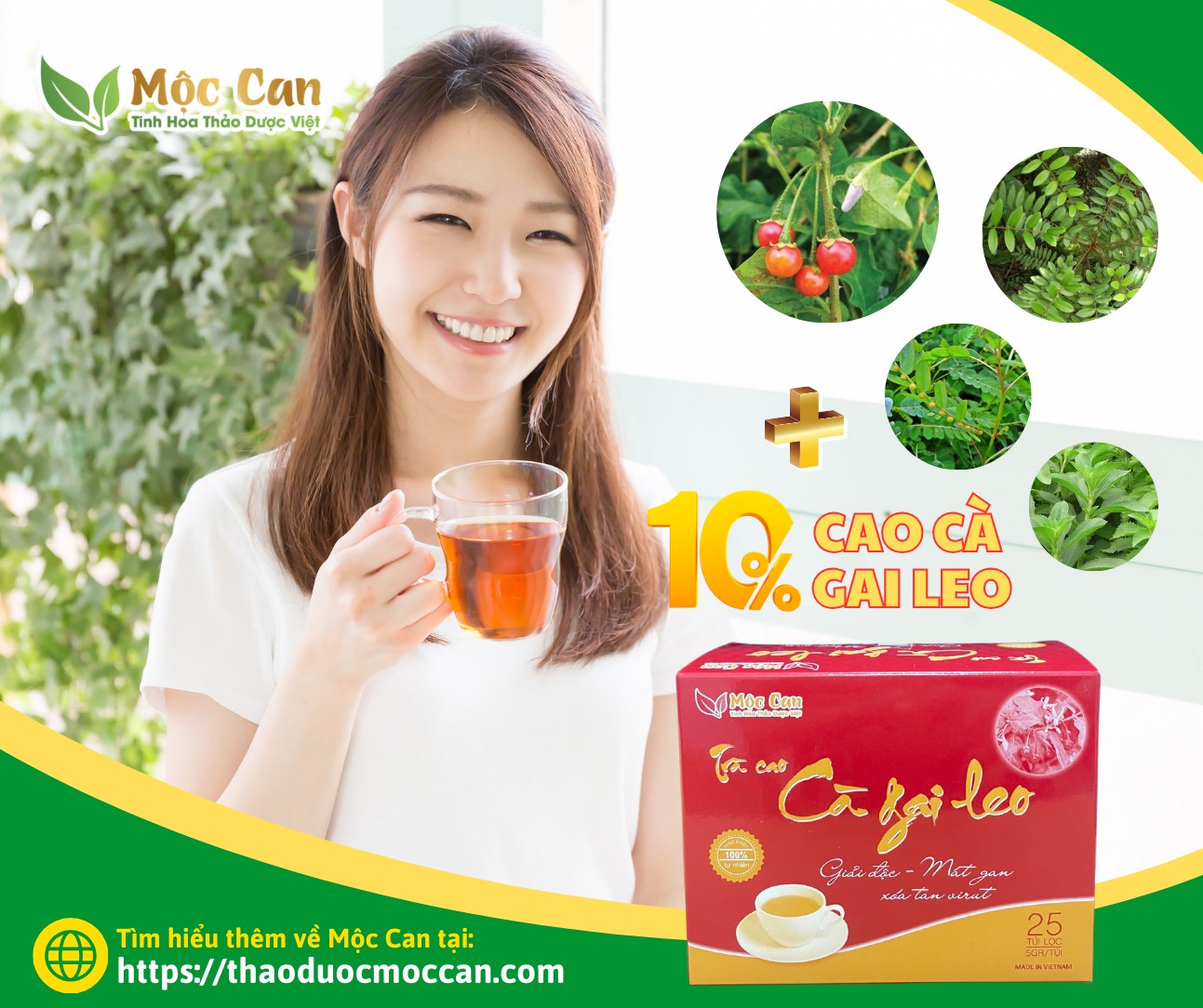 CÀ GAI LEO THẢI ĐỘC GAN NHƯ THẾ NÀO? 3