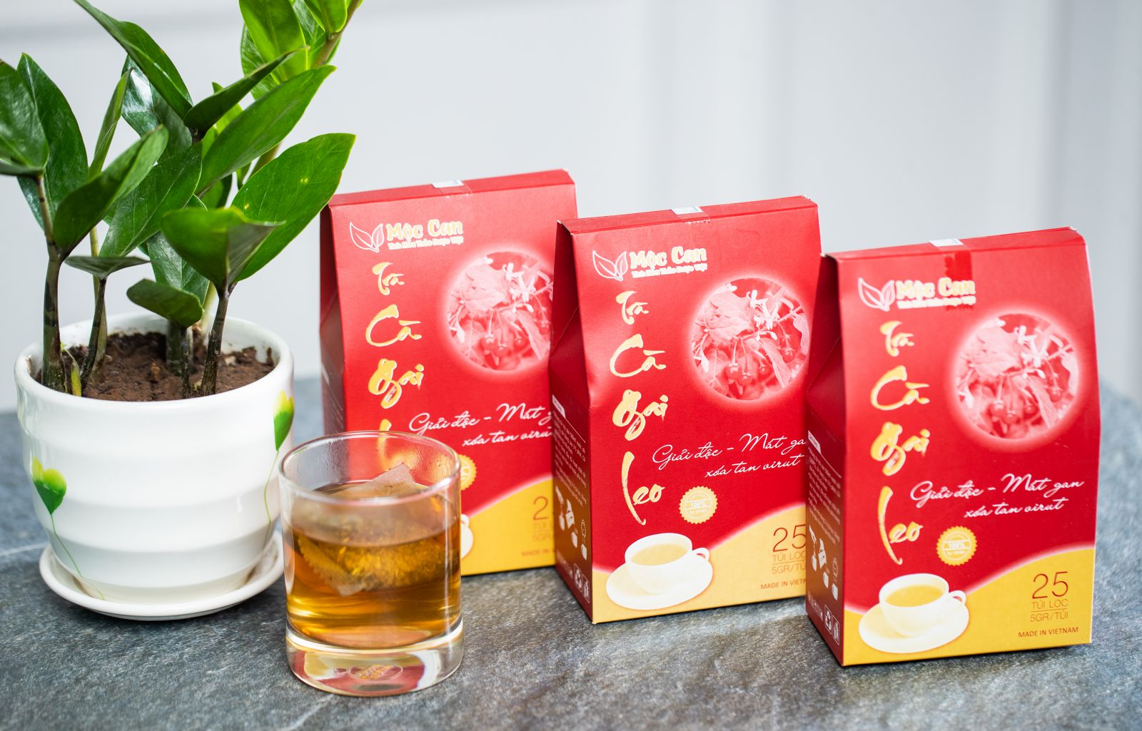 Uống cà gai leo nhiều có tốt hay không? 2