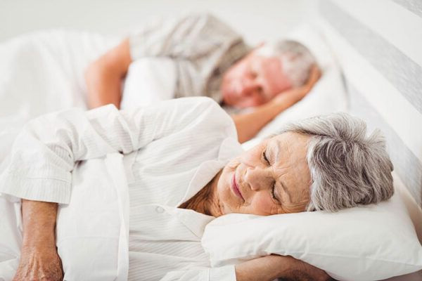  CÂY ĐINH LĂNG - GIÚP AN THẦN NGỦ NGON HIỆU QUẢ 2