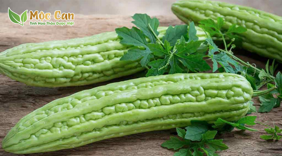 KHỔ QUA THƯỜNG VÀ KHỔ QUA RỪNG LOẠI NÀO TỐT HƠN? 2